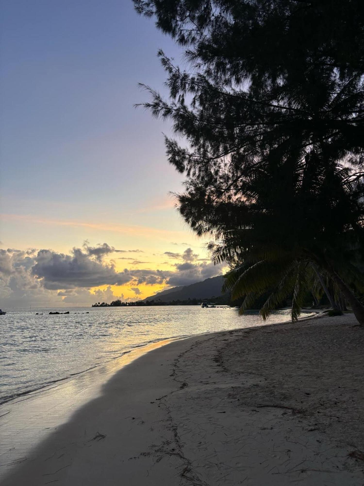 Beach De Reve De Moorea Hauru Bagian luar foto